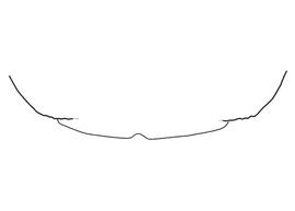  Anthidium atripes  female, diagram showing the dorsal view of the sixth tergite (T6), diagram from Gonzalez and Griswold 2013 
